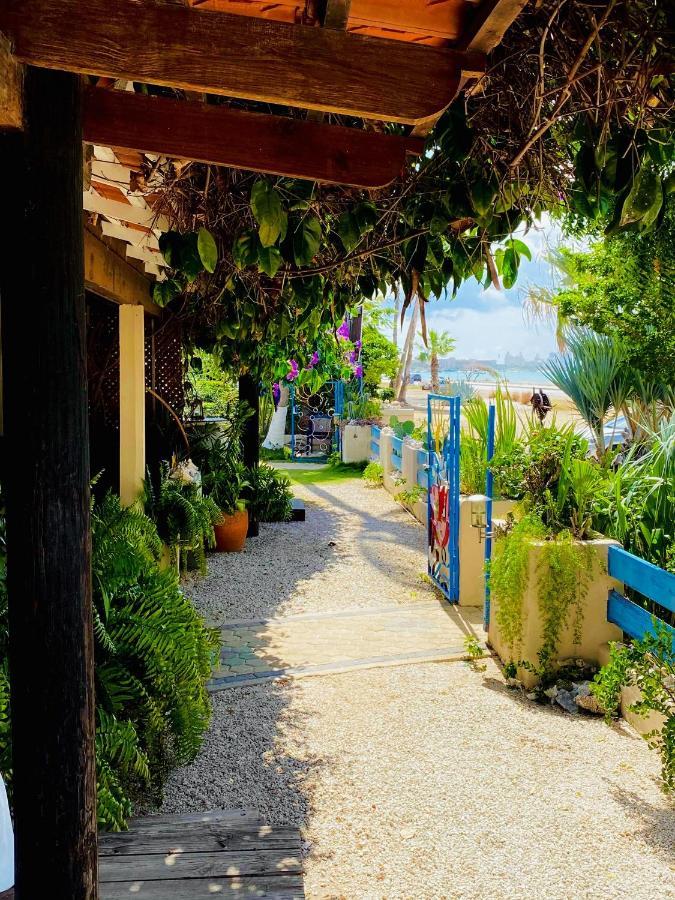 Aruba Sunset Beach Studios Palm Beach ภายนอก รูปภาพ