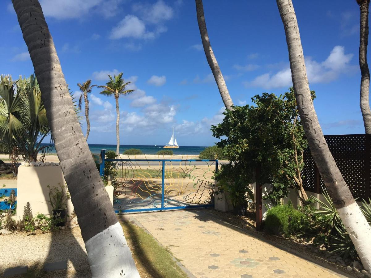 Aruba Sunset Beach Studios Palm Beach ภายนอก รูปภาพ