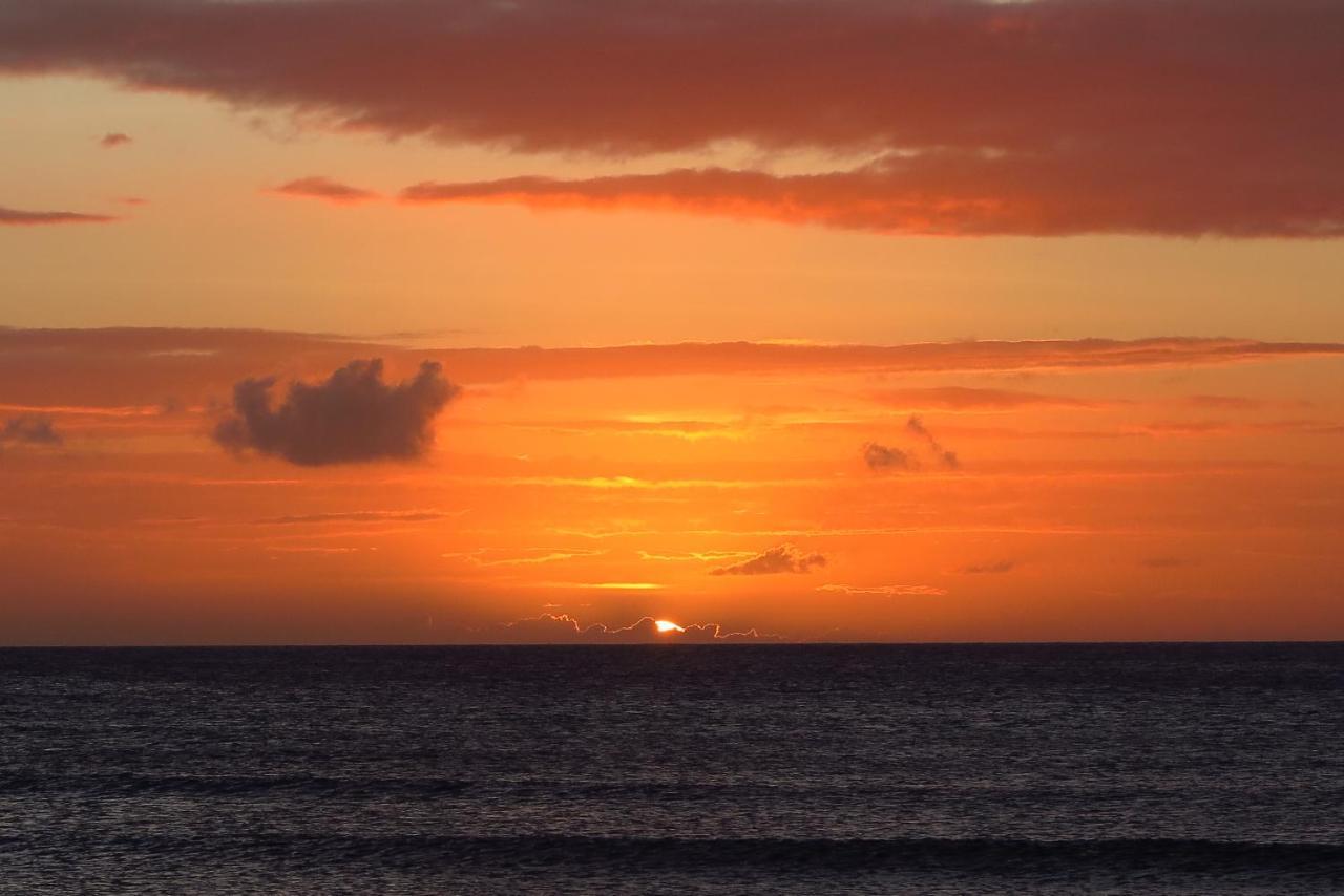 Aruba Sunset Beach Studios Palm Beach ภายนอก รูปภาพ