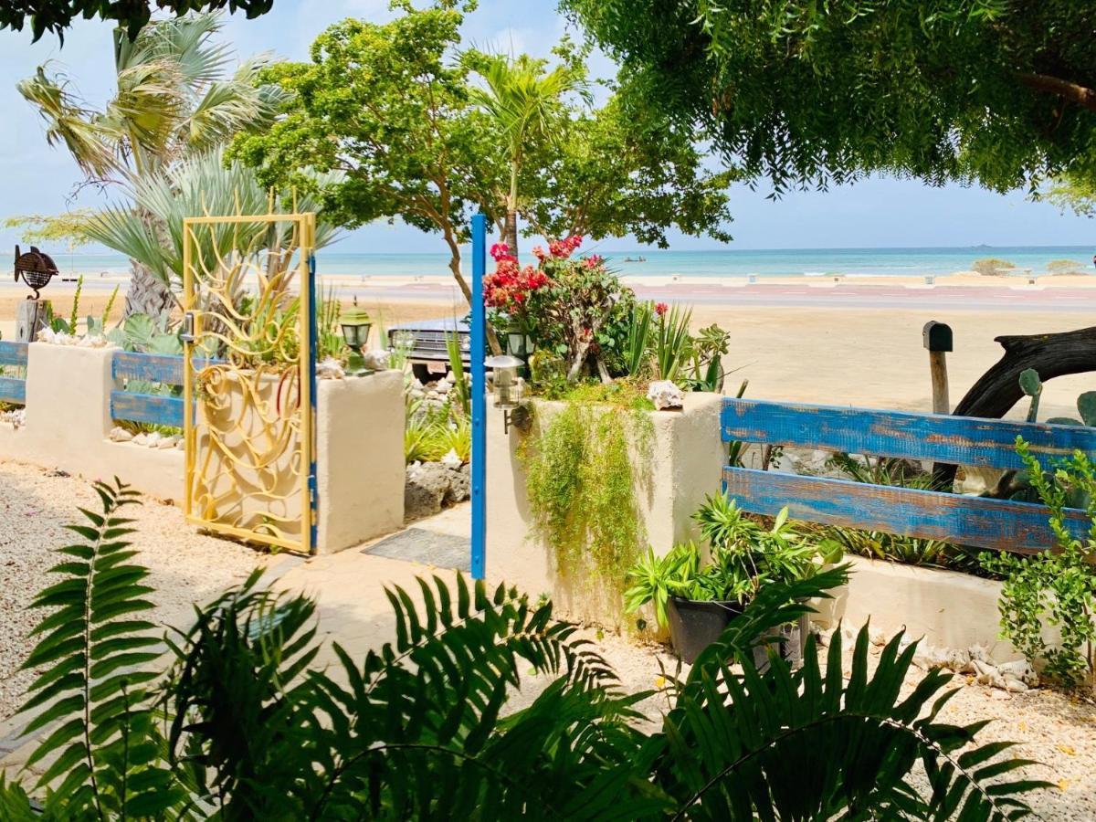 Aruba Sunset Beach Studios Palm Beach ภายนอก รูปภาพ