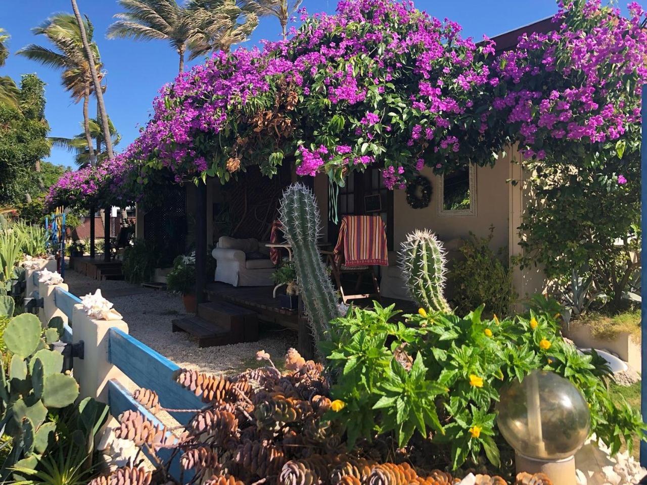 Aruba Sunset Beach Studios Palm Beach ภายนอก รูปภาพ