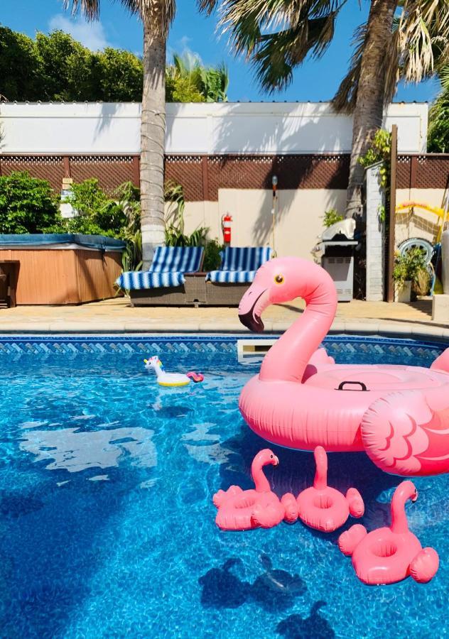Aruba Sunset Beach Studios Palm Beach ภายนอก รูปภาพ